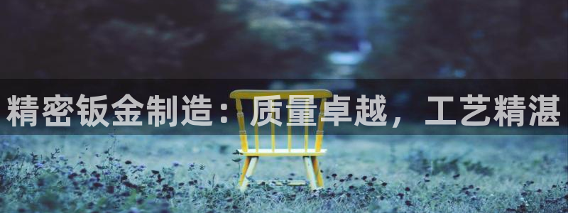 彩神8购彩-购彩大厅：精密钣金制造：质量卓越，工艺精湛