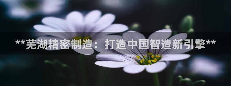 彩神8官网版：**芜湖精密制造：打造中国智造新引擎**