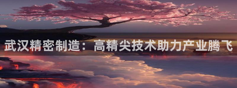 彩神ⅴll是什么样平台：武汉精密制造：高精尖技术助力产业腾飞