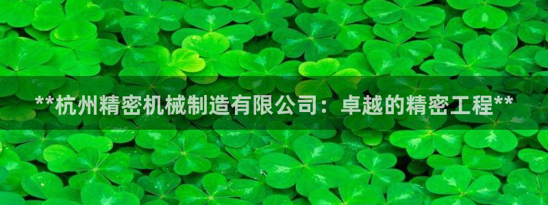 所有彩神购买首页：**杭州精密机械制造有限公司：卓越的精密工程**