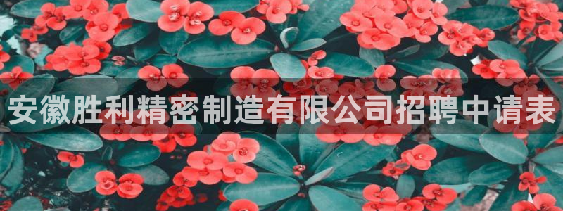 彩神ⅴll是什么样平台：安徽胜利精密制造有限公司招聘中请表