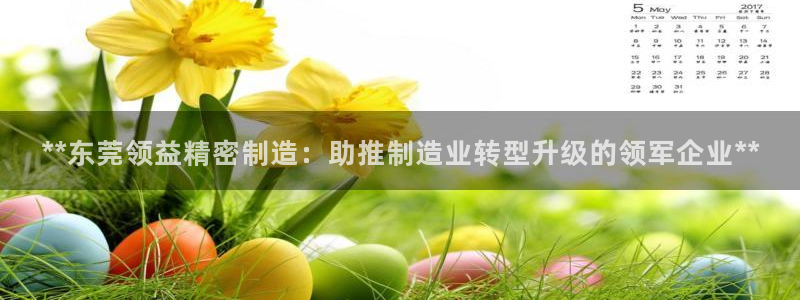 彩神可以提现吗：**东莞领益精密制造：助推制造业转型升级的领军企业**