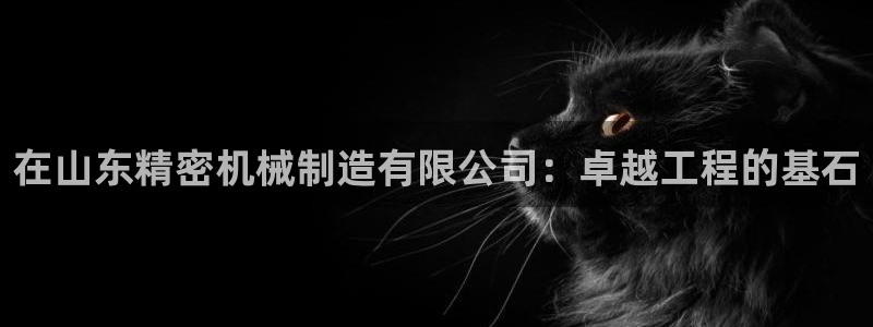 彩神v8平台正规吗知乎：在山东精密机械制造有限公司：卓越工程的基石