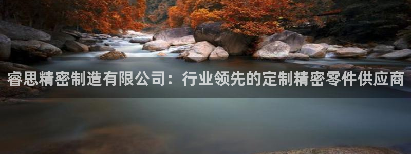 彩神vlll(中国)百度百科：睿思精密制造有限公司：行业领先的定制精密零件供应商