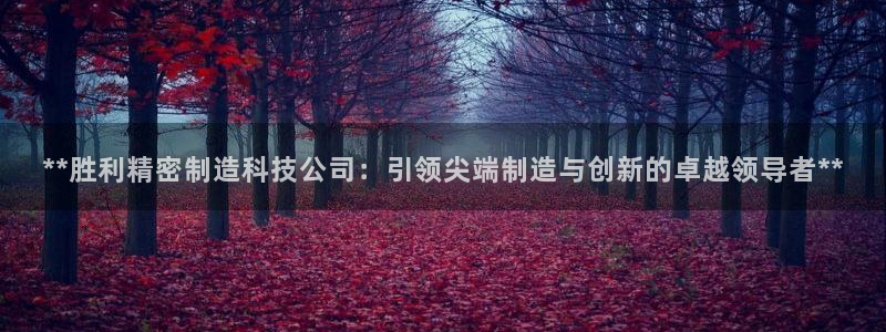 彩神V官网：**胜利精密制造科技公司：引领尖端制造与创新的卓越领导者**