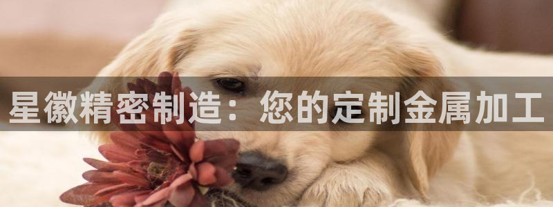 彩神v8手机客户端下载：星徽精密制造：您的定制金属加工