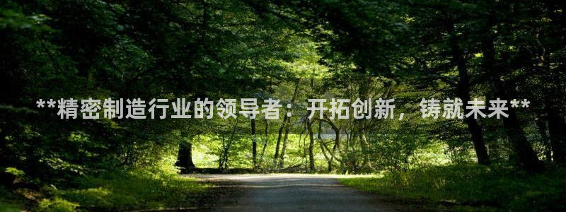 彩神广告有限公司：**精密制造行业的领导者：开拓创新，铸就未来**