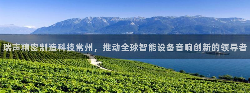 彩神vll官网-最新版app下载：瑞声精密制造科技常州，推动全球智能设备音响创新的领导者