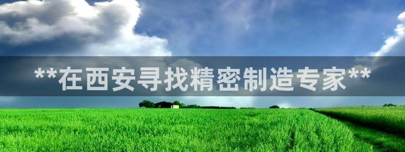 彩神vllⅰ购彩大厅：**在西安寻找精密制造专家**