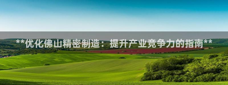 彩神v8购彩大厅登：**优化佛山精密制造：提升产业竞争力的指南**