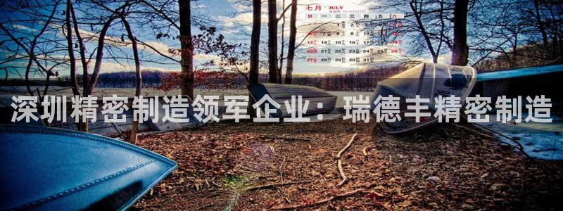彩神Vii购彩-购彩大厅：深圳精密制造领军企业：瑞德丰精密制造