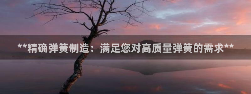 彩神ⅴll是什么样平台：**精确弹簧制造：满足您对高质量弹簧的需求**