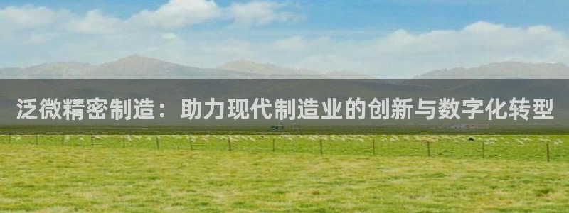 新版彩神v8登录不了：泛微精密制造：助力现代制造业的创新与数字化转型