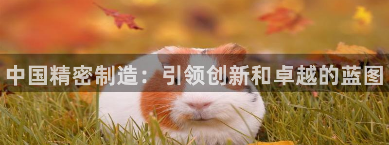 彩神8官网合法吗：中国精密制造：引领创新和卓越的蓝图