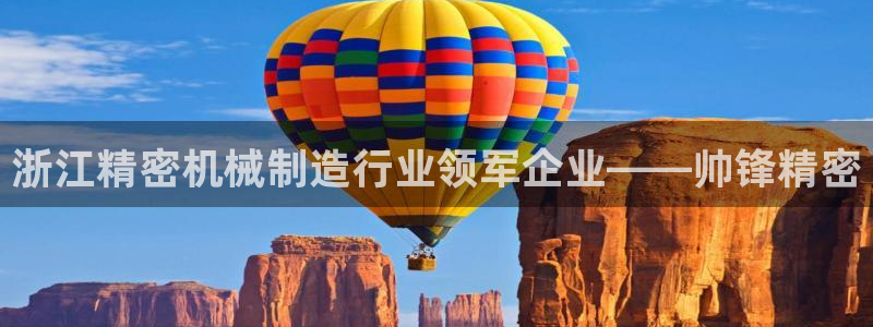 大发彩神争：浙江精密机械制造行业领军企业——帅锋精密