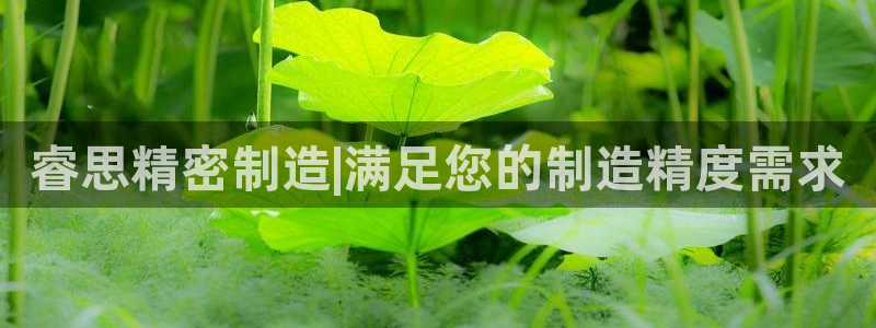 彩神网正规吗：睿思精密制造|满足您的制造精度需求
