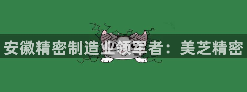 彩神8官网下：安徽精密制造业领军者：美芝精密