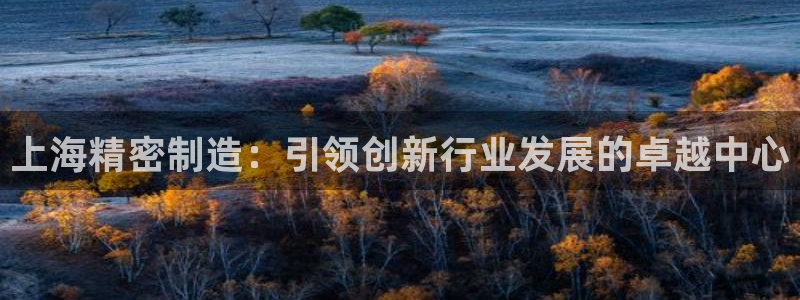 彩神购彩购彩大厅入口v：上海精密制造：引领创新行业发展的卓越中心