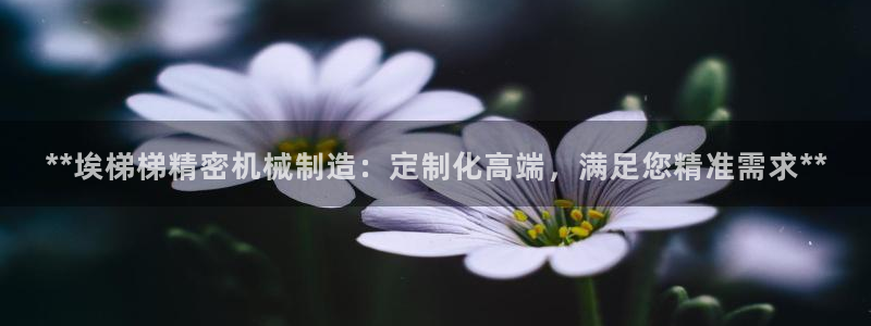 彩神ix官网：**埃梯梯精密机械制造：定制化高端，满足您精准需求**