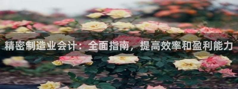 彩神app赚钱是真是假：精密制造业会计：全面指南，提高效率和盈利能力