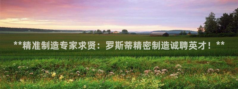 所有彩神购买首页都一样吗：**精准制造专家求贤：罗斯蒂精密制造诚聘英才！**