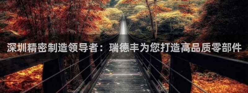 彩神v彩搜狗：深圳精密制造领导者：瑞德丰为您打造高品质零部件