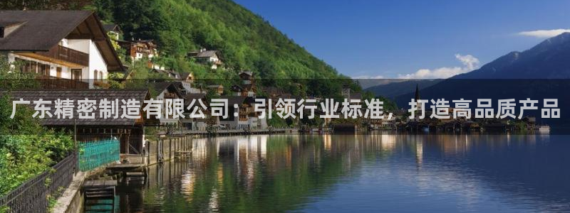彩神邀请码:00-00-3267：广东精密制造有限公司：引领行业标准，打造高品质产品