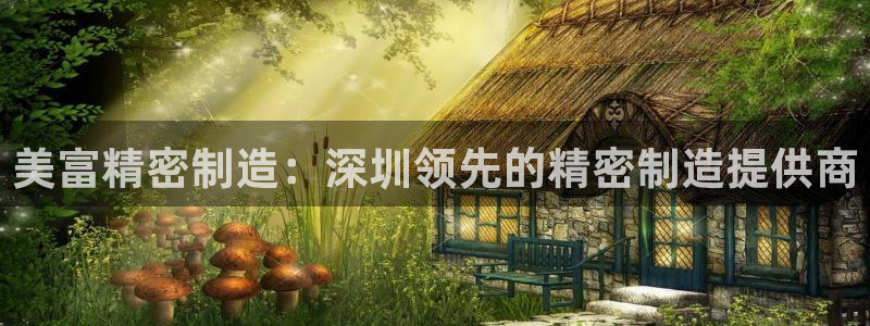 彩神平台可以破解吗：美富精密制造：深圳领先的精密制造提供商