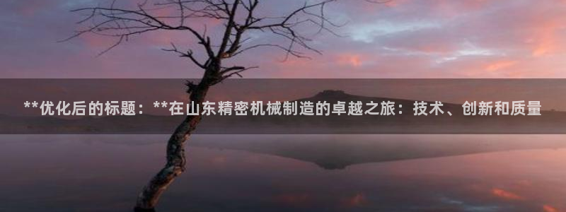 大发彩神最高邀请码：**优化后的标题：**在山东精密机械制造的卓越之旅：技术、创新和质量