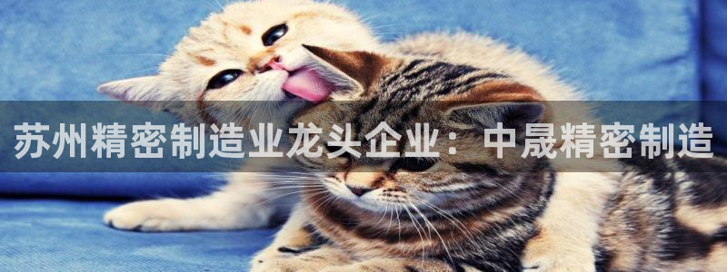 下载彩神争霸谁与我争锋：苏州精密制造业龙头企业：中晟精密制造