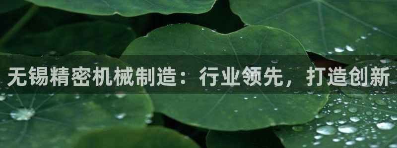 彩神v8手机客户端下载：无锡精密机械制造：行业领先，打造创新