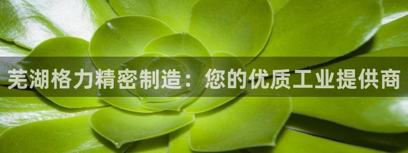 彩神赢了钱登录不上去：芜湖格力精密制造：您的优质工业提供商