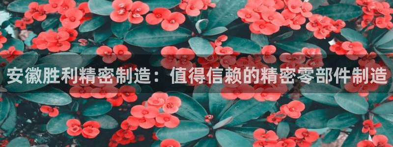 彩神官方邀请码是多少：安徽胜利精密制造：值得信赖的精密零部件制造