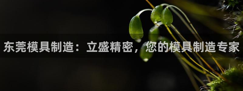 彩神iv真的能赚钱吗：东莞模具制造：立盛精密，您的模具制造专家