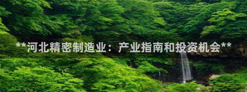 彩神ix平台：**河北精密制造业：产业指南和投资机会**