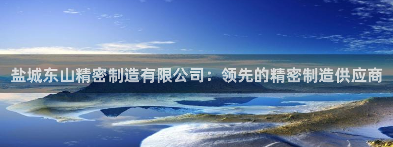 彩神VI首页：盐城东山精密制造有限公司：领先的精密制造供应商