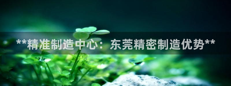 彩神争霸官网登录平台：**精准制造中心：东莞精密制造优势**