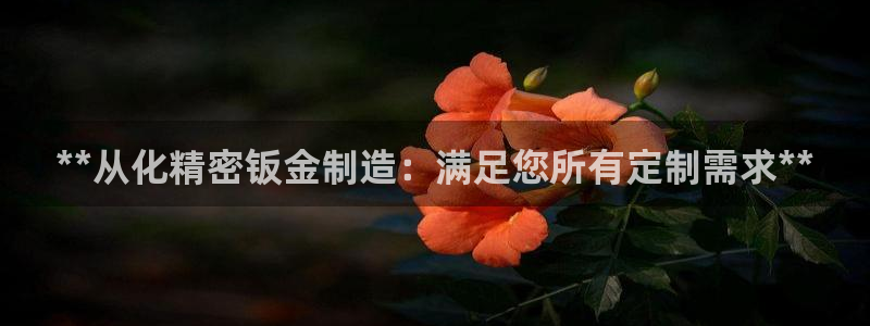 彩神是正规平台吗：**从化精密钣金制造：满足您所有定制需求**