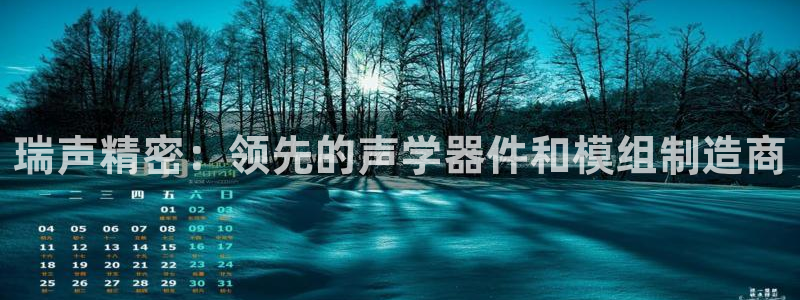 彩神vii官网大赢家：瑞声精密：领先的声学器件和模组制造商