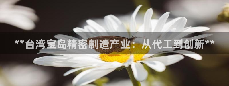彩神ix能赚钱吗：**台湾宝岛精密制造产业：从代工到创新**