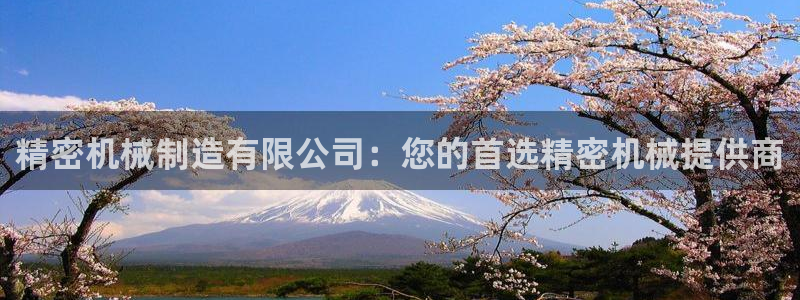 彩神争霸老平台：精密机械制造有限公司：您的首选精密机械提供商