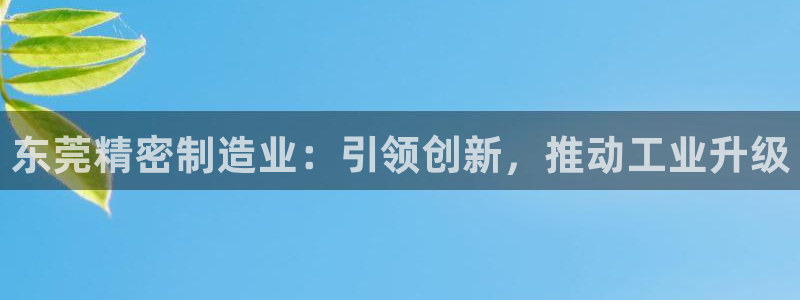 彩神v8平台正规吗知乎：东莞精密制造业：引领创新，推动工业升级