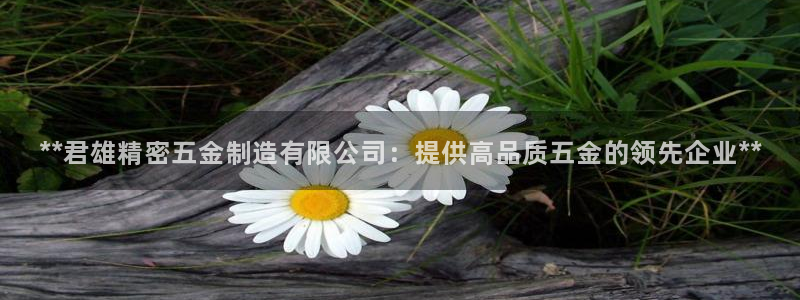 所有彩神购买首页中心：**君雄精密五金制造有限公司：提供高品质五金的领先企业**