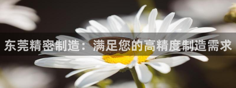 彩神v8下载网址：东莞精密制造：满足您的高精度制造需求