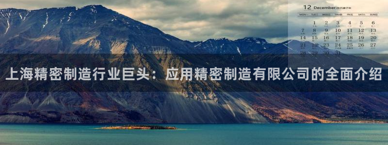 彩神骗局：上海精密制造行业巨头：应用精密制造有限公司的全面介绍