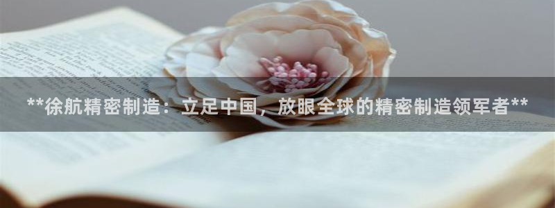 彩神购彩-购彩大厅入口娱乐首选：**徐航精密制造：立足中国，放眼全球的精密制造领军者**