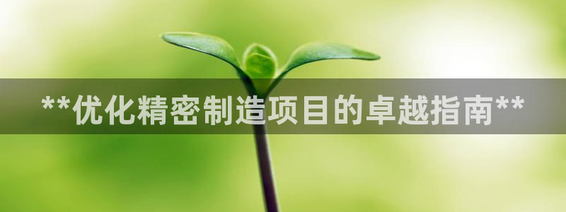 彩神VII购彩中心：**优化精密制造项目的卓越指南**