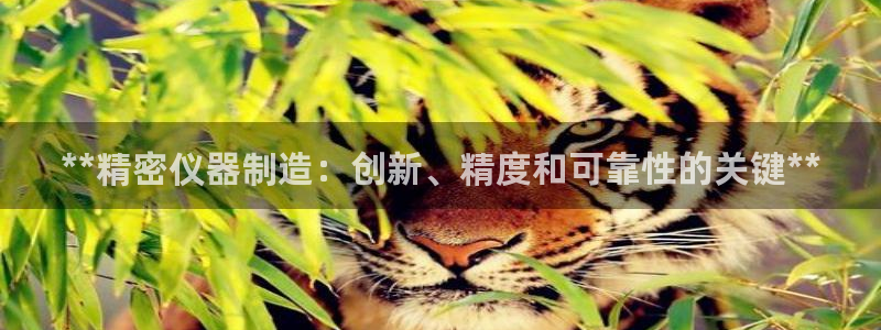 彩神v彩搜狗：**精密仪器制造：创新、精度和可靠性的关键**