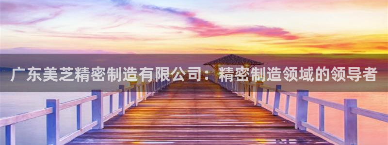 彩神vll购彩大厅：广东美芝精密制造有限公司：精密制造领域的领导者