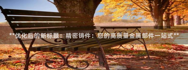 下载彩神通关注码：**优化后的新标题：精密铸件：您的高质量金属部件一站式**